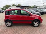 Fiat Panda 1.3 JTD 70 PS Climbing 4X4 Klima - Fiat Panda in Oberhausen