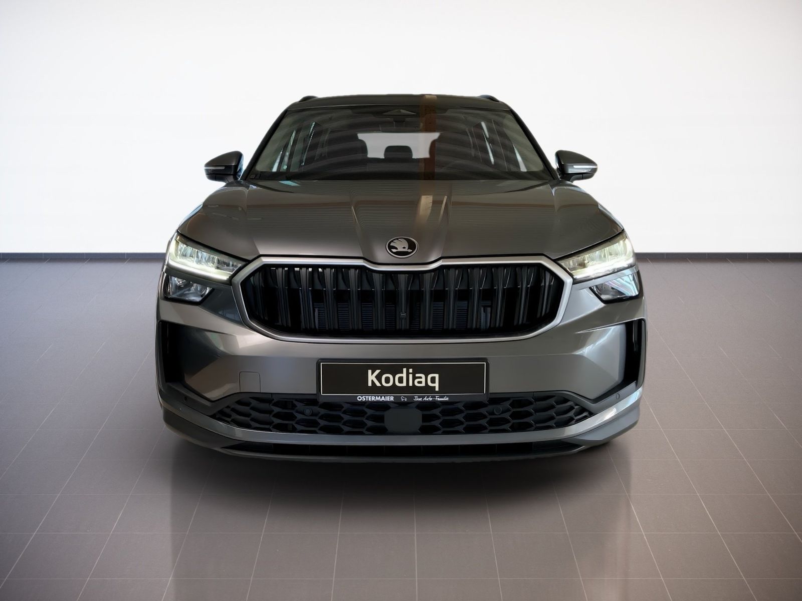 Skoda Kodiaq - Bild 3