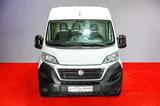 Fiat Ducato Maxi Grossr.-Kasten 35 130 L4H2 RS: 4035 - Fiat Ducato in Mannheim