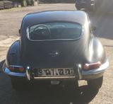 Jaguar E-Type Serie 1, 2+2 Coupé - Jaguar E-Type Gebrauchtwagen