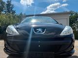 Peugeot 206 + Urban Style - Peugeot 206: Style