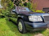 Mercedes-Benz Mercedes W124 250D T, Kombi, 113 PS, Karo ... - Mercedes-Benz 250: W124 D