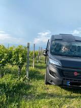 Bürstner Campeo C540 Solarpaket 175WP u. andere Extras - Bürstner 540