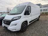 Fiat Ducato Grossr.-Kasten 35 150 L4H2 RS: 4035 mm - Fiat Ducato: 15