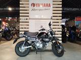Honda Monkey 125 - HONDA MONKEY