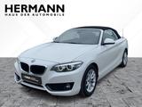 BMW 218d Cabrio Advantage AHK*CAM*LED*NAVI*SHZ*AHK - BMW 218 mit Diesel-Antrieb: Automatik