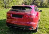 Jaguar F-Pace 30d AWD R-Sport Automatik R-Sport - Jaguar F-Pace: 30d Awd