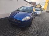 Fiat Punto 1.4 8V Start Start - Fiat Punto Star mit Benzin-Antrieb
