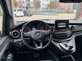 Mercedes-Benz V 250 d 4MATIC AVANTGARDE EDITION lang AVANT... - Mercedes-Benz V 250 in Hannover
