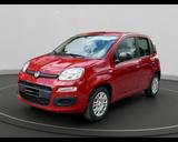 Fiat FIAT Panda My25 1.0 70cv Hybrid Panda - Fiat Panda Jahreswagen