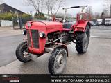 Massey Ferguson MF 30 TÜV 10/26 AHK Zugmaschine Traktor - Massey Ferguson Schlepper