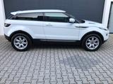 Land Rover Evoque Pure Bi-Xenon Kamera Navi Leder - Land Rover: Weiß
