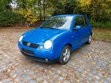Volkswagen VW Lupo 1.4 16V 75 PS mit TÜV - Volkswagen Lupo: 1.7