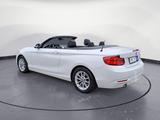 BMW 218i Cabrio *Navi*PDC*SHZ*LED* - gebrauchte BMW 218 aus dem Jahr 2018