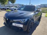 Alfa Romeo Stelvio Quadrifoglio 2.9 V6 Bi-Turbo 510PS Q4 - Alfa Romeo Stelvio Gebrauchtwagen