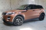 Land Rover Range Rover Evoque 2.0 TD4 4WD SE Dynamic| Pano| - Land Rover: Beige