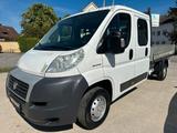Fiat Ducato Pritsche Doppelk. 35 130  L4 - Fiat Ducato: 35 L4