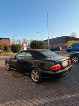 Mercedes-Benz CLK 430 Cabrio scheckheftgep... - Mercedes-Benz CLK 430 Gebrauchtwagen