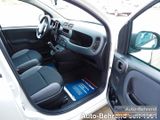 Fiat Panda Van Business Klima 2-Sitzer Trennwand - Fiat Panda aus 2022