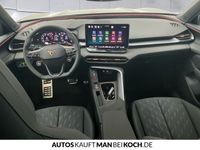 Cupra Terramar - Vorschau Bild 10
