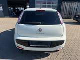 Fiat Punto Evo MyLife Klima Alu Tüv - Fiat Punto Evo: Limousine