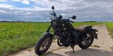 Honda CMX500 Rebel SE - Pearl Shining Black - Offers matching your search criteria