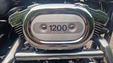 Harley-Davidson Sportster XL 1 , 1200 - HARLEY-DAVIDSON 2003 SPORTSTER 1200