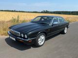Jaguar XJ8 -X308 4.0 "Sovereign" - Jaguar XJ8 aus 2001