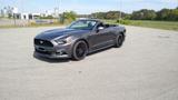 Ford Mustang 2.3 EcoBoost EU model 1A Zustand  - Ford Model a Gebrauchtwagen