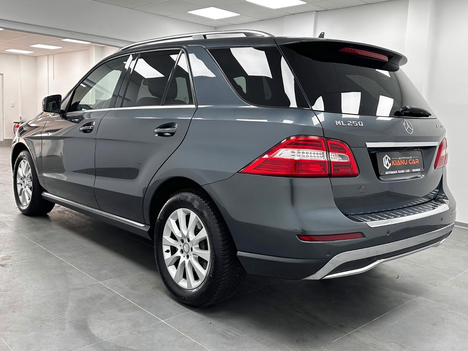 Mercedes-Benz ML 250 CDI BlueTec 4Matic.Luftfederung.Leder.AHK
