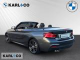 BMW 220 iA Cabrio M-Sport LED H/K Sportsitz Leder - BMW 220 in Mainz