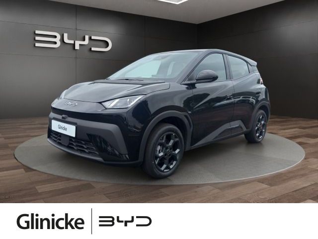 BYD DOLPHIN SURF