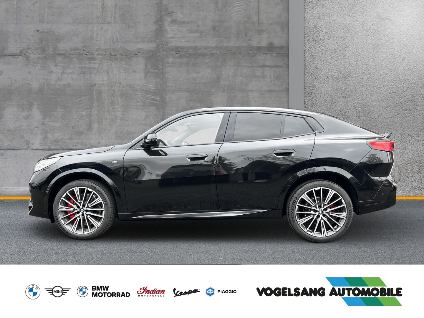 Fahrzeugabbildung BMW X2 20 i sDrive M Sport 20i EU6e SDRIVE20I Park-A