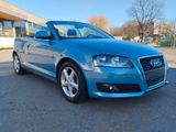 Audi A3 Cabriolet Ambition - Audi A3: Cabrio