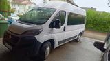 Fiat Ducato 2.3 d. 9 Sitzplätze. EZ 2019 .... - Fiat Ducato in Freiburg