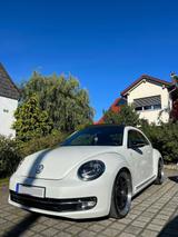Volkswagen Beetle 1.4 TSI Design Xenon/ Pano /Fender Sound - Volkswagen Beetle in Dresden