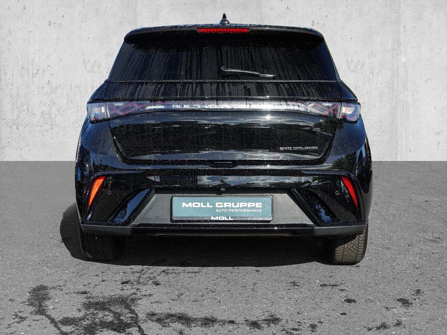 BYD DOLPHIN