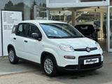 Fiat Panda Mild-Hybrid Base Bluetooth nur 24.999km ! - Fiat Panda: Km H