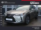Lexus UX 250h Style Edition - silberne Lexus UX