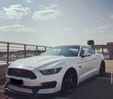 Ford Mustang 5.0 Ti-VCT V8 GT auto GT - Ford Mustang Gebrauchtwagen in Bremen