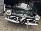 Alfa Romeo Giulia Spider 1600 Normale - Alfa Romeo Giulia in Dortmund