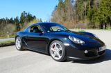 Porsche Cayman 2.9 Tausch gegen Lexus IS-F - Porsche Cayman: Coupé