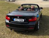 BMW M240i xDrive Steptronic Cabrio - - BMW M-Modelle: Cabrio