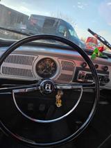 Volkswagen Käfer - aus 1972: Cabrio