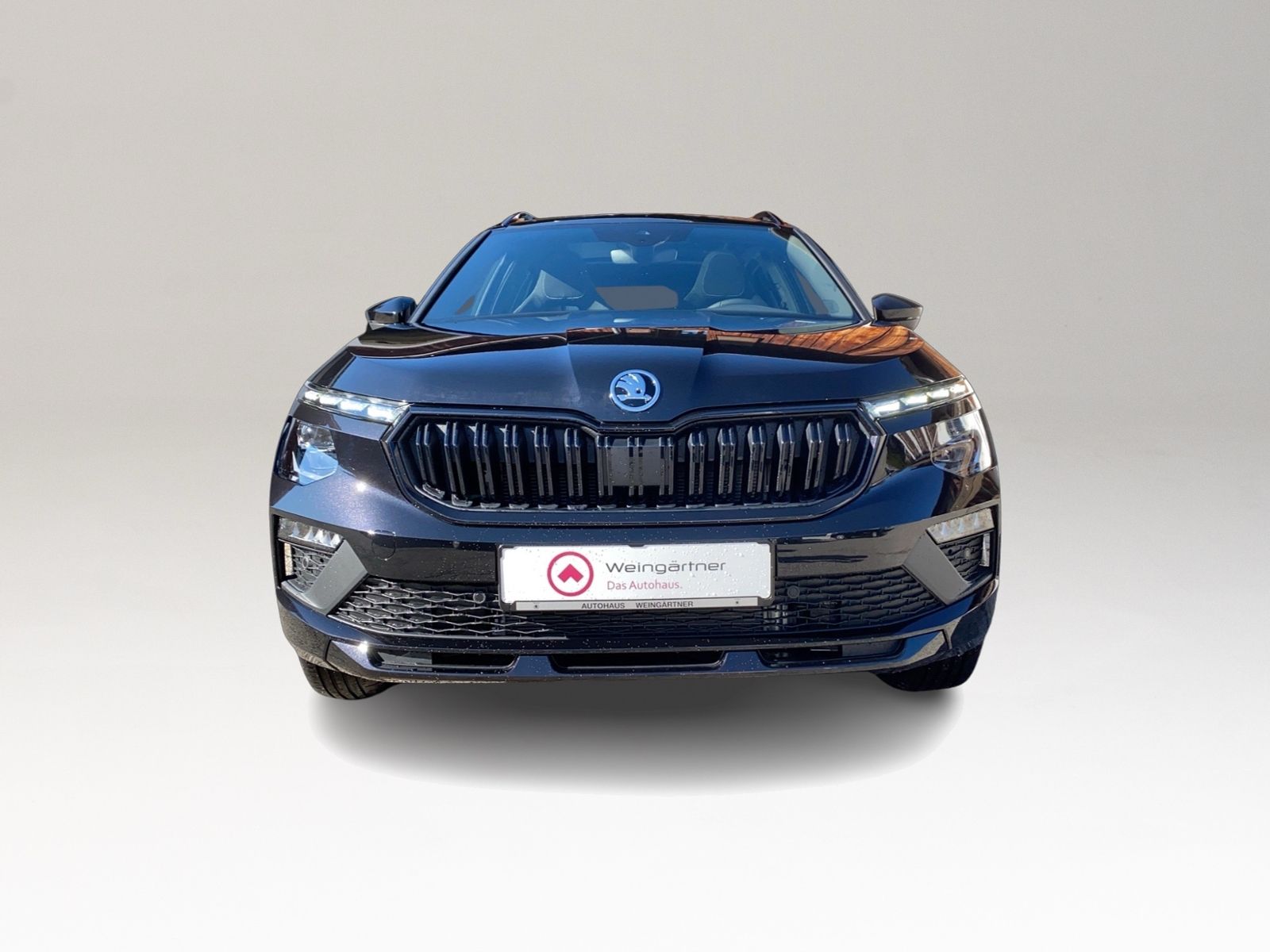 Kamiq 1.5 TSI Monte Carlo, AHK, Winterpaket plus