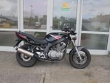 Suzuki GS 500 - SUZUKI GS 500