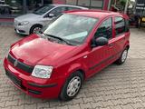 Fiat Panda 1.2 8V 8-fach bereift TÜV neu - Fiat Panda aus 2012
