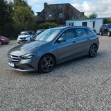 Mercedes-Benz B 220 4MATIC DCT.Auto.Klima.Navi.Kamera.SHZ.AHK. - mit Benzin-Antrieb: Allradantrieb, Kleinbus
