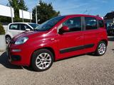 Fiat Panda Lounge 5-türig*Klima*Bluetooth*Servo*el.FH - Fiat Panda LOUNGE mit Benzin-Antrieb
