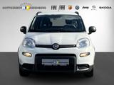 Fiat Panda City Life Hybrid 1.0 GSE 51kw (70PS) E6 - gebrauchte Fiat Panda aus dem Jahr 2022